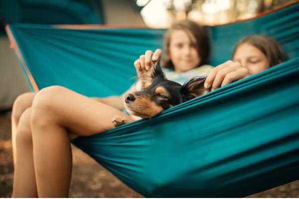 Discover Your Dream Hammock: Essential Guide to Selecting the Perfect Camping Companion